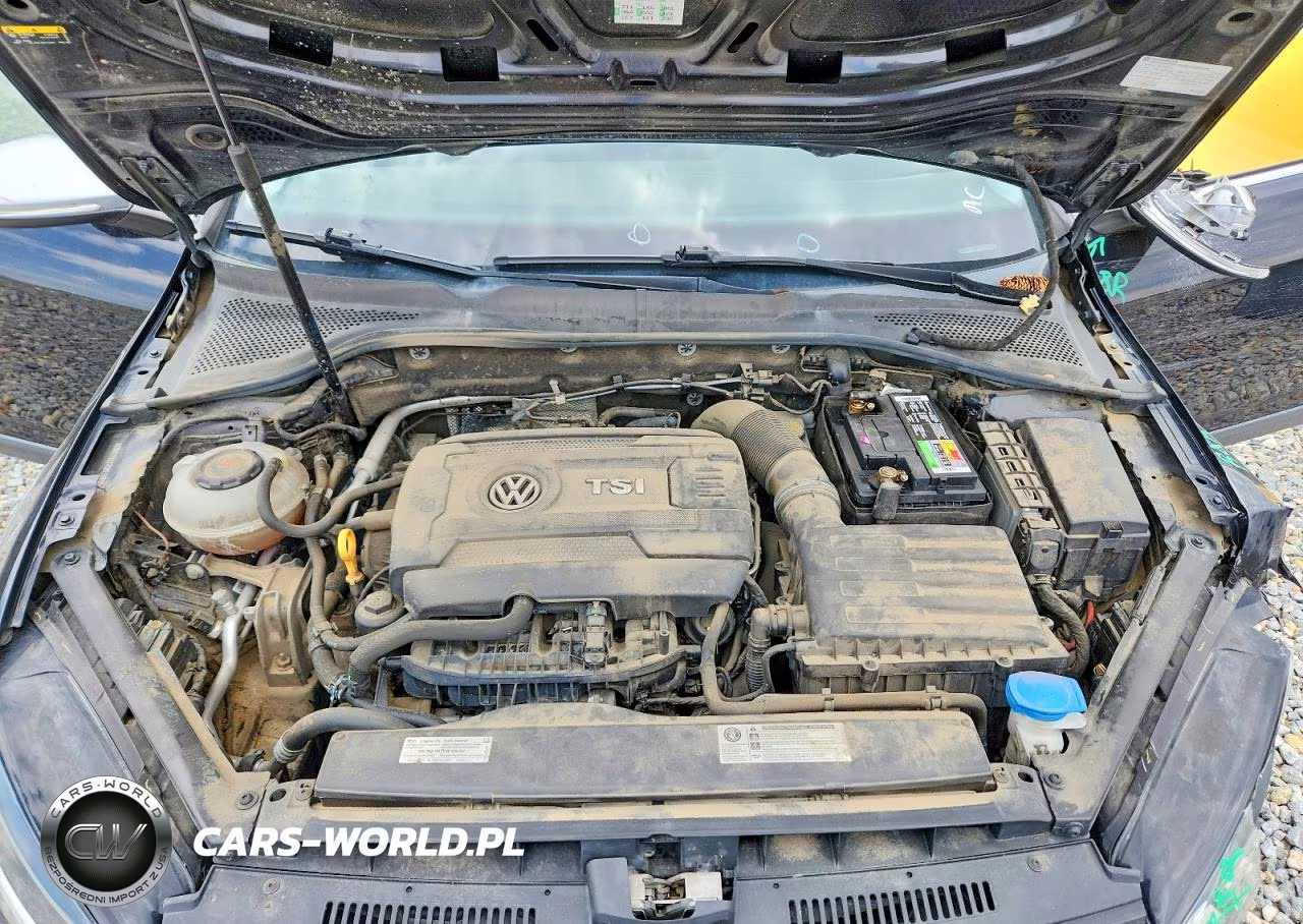 2019 Volkswagen Golf Alltrack S VIN:3VWH17AU5KM516815 - 11