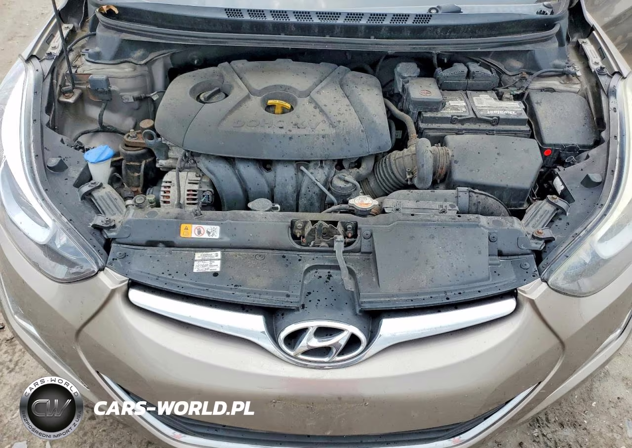 2015 Hyundai Elantra Se VIN:5NPDH4AE8FH618125 - 11
