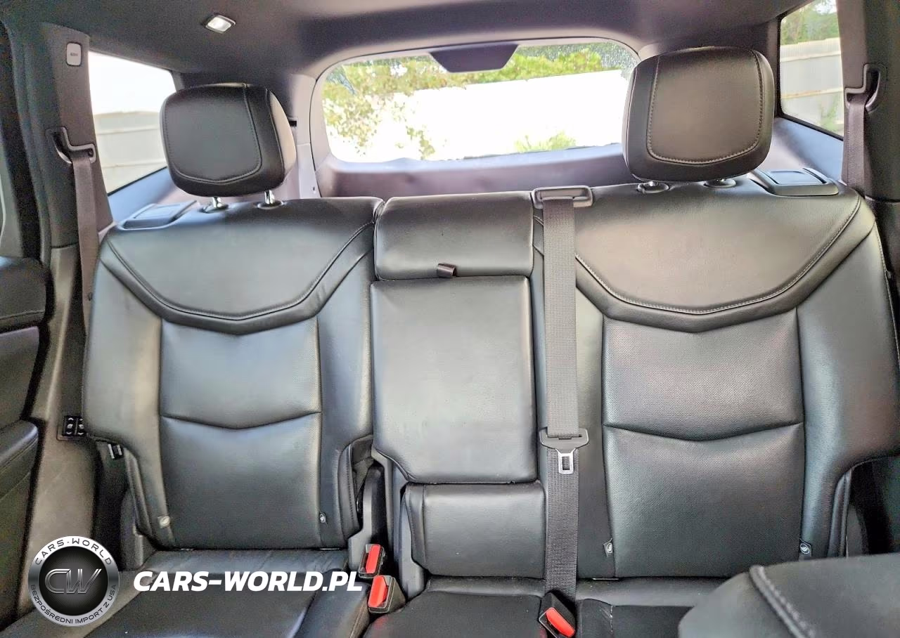 2020 Cadillac Xt6 Premium Luxury VIN:1GYKPDRSXLZ192960 - 10