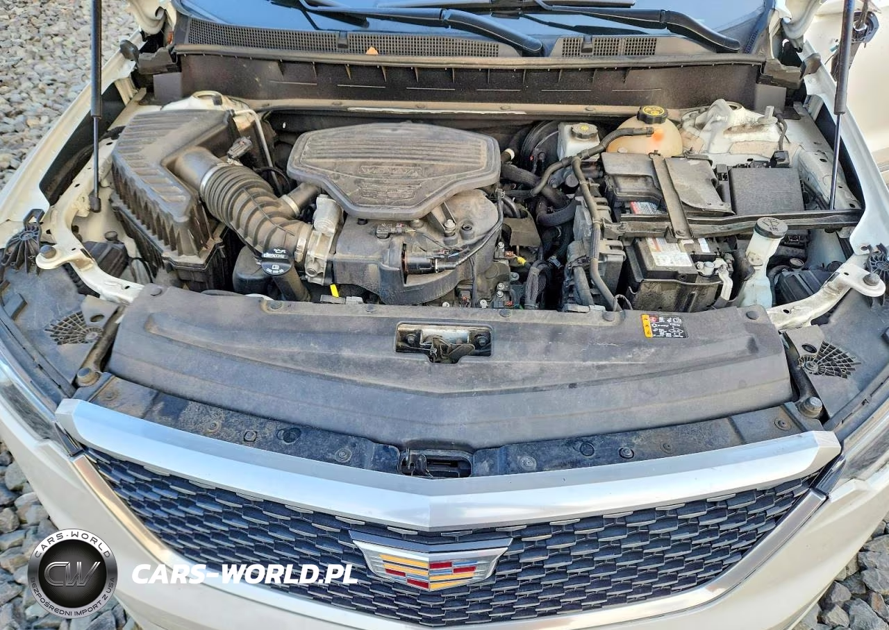 2020 Cadillac Xt6 Premium Luxury VIN:1GYKPDRSXLZ192960 - 12