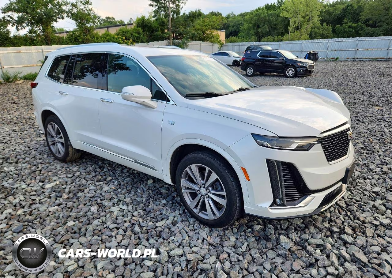 2020 Cadillac Xt6 Premium Luxury VIN:1GYKPDRSXLZ192960 - 4
