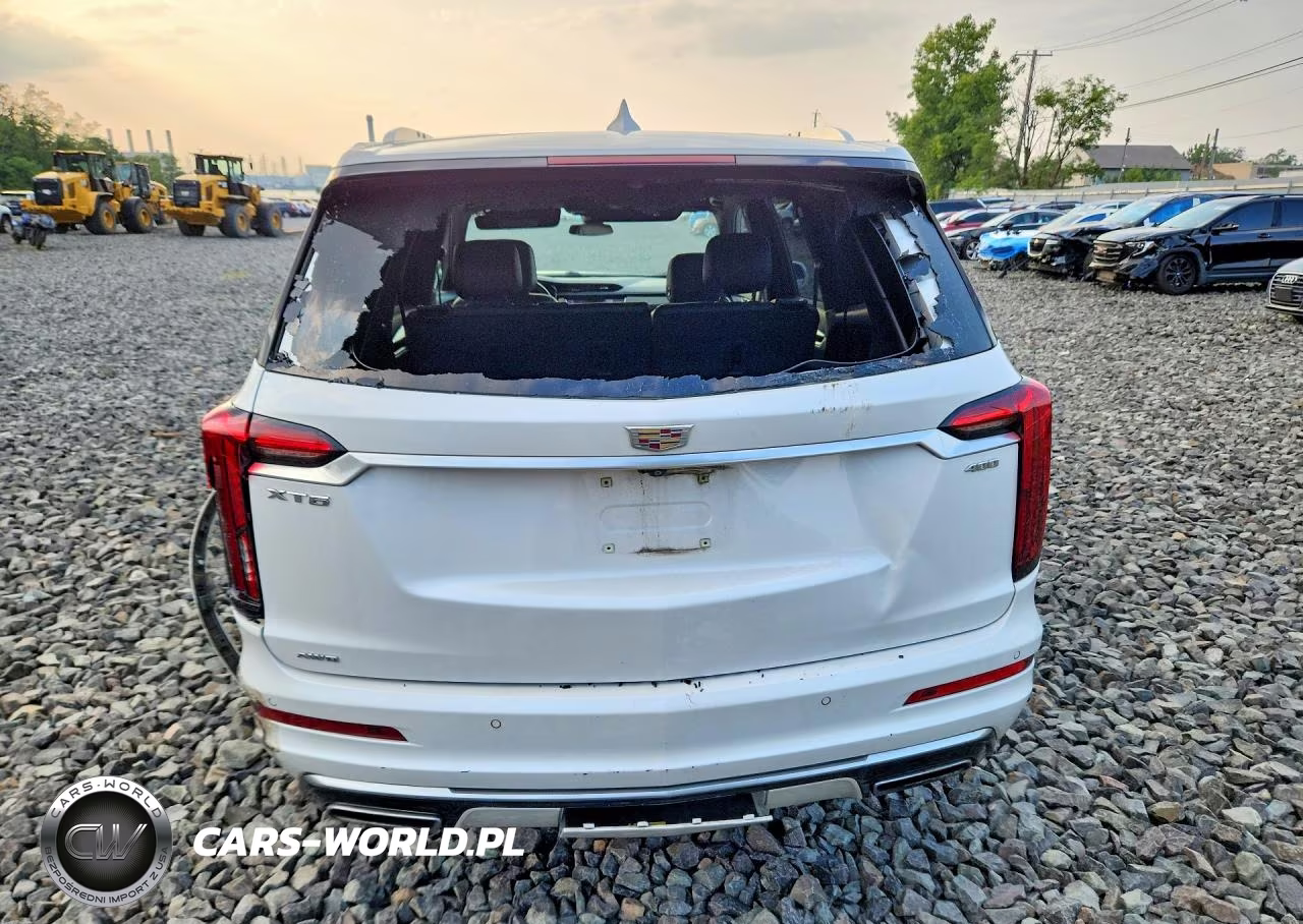2020 Cadillac Xt6 Premium Luxury VIN:1GYKPDRSXLZ192960 - 6
