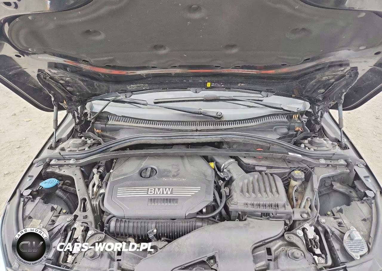 2021 BMW 228I VIN:WBA53AK04M7J11399 - 11