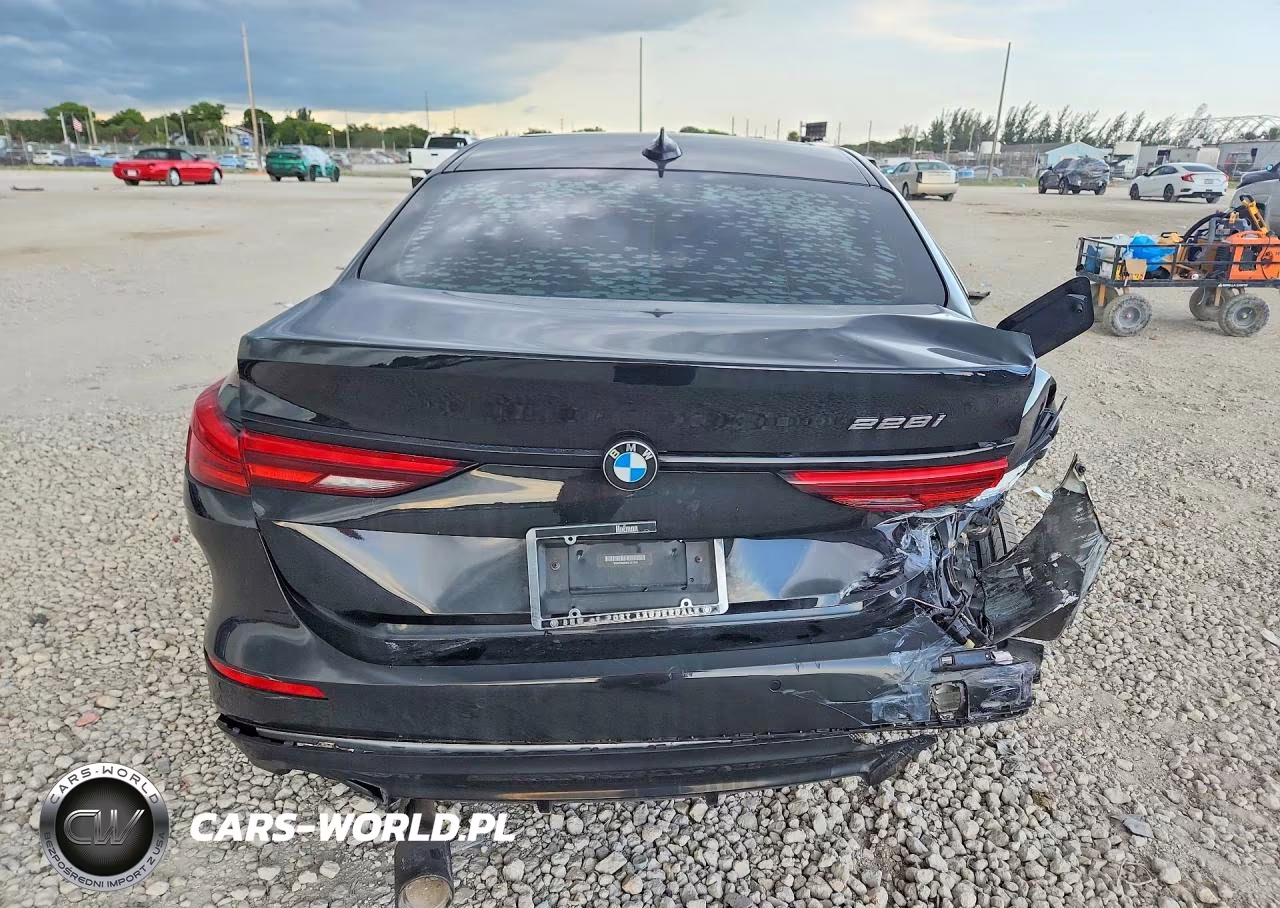 2021 BMW 228I VIN:WBA53AK04M7J11399 - 6