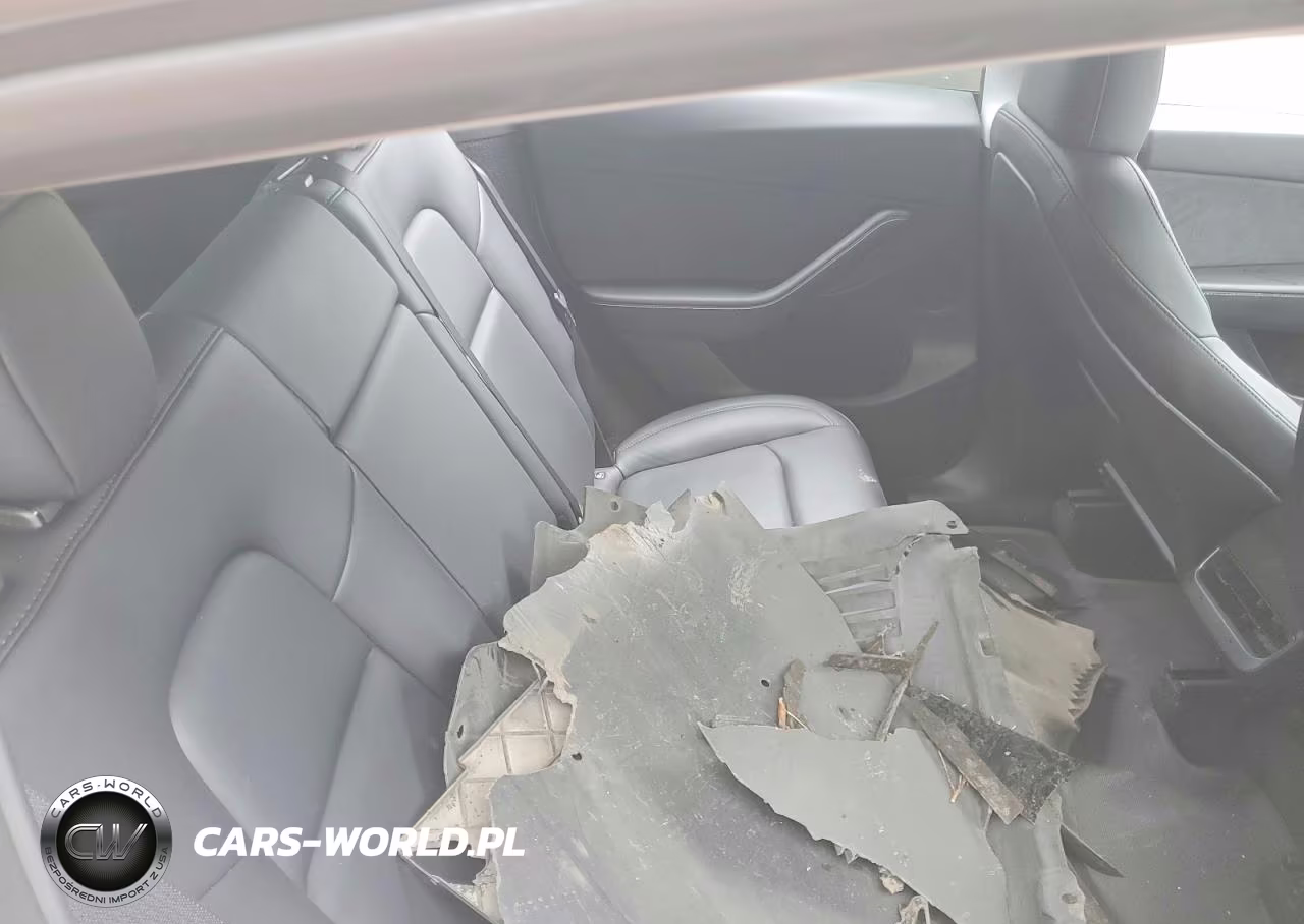 2023 Tesla Model Y VIN:7SAYGDEEXPF685715 - 10
