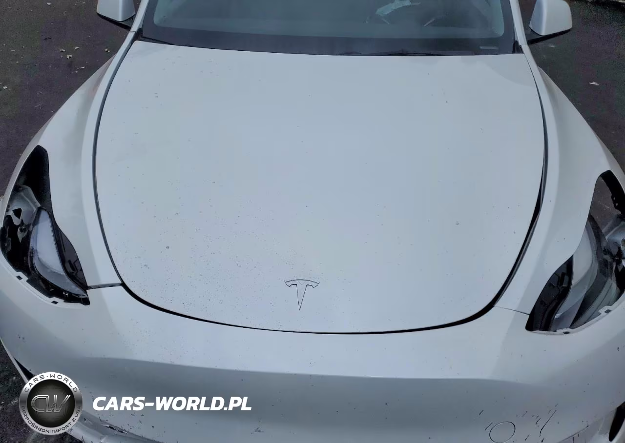 2023 Tesla Model Y VIN:7SAYGDEEXPF685715 - 11