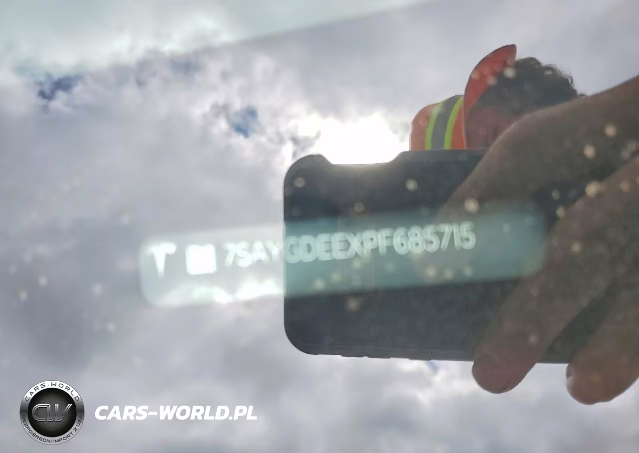 2023 Tesla Model Y VIN:7SAYGDEEXPF685715 - 12
