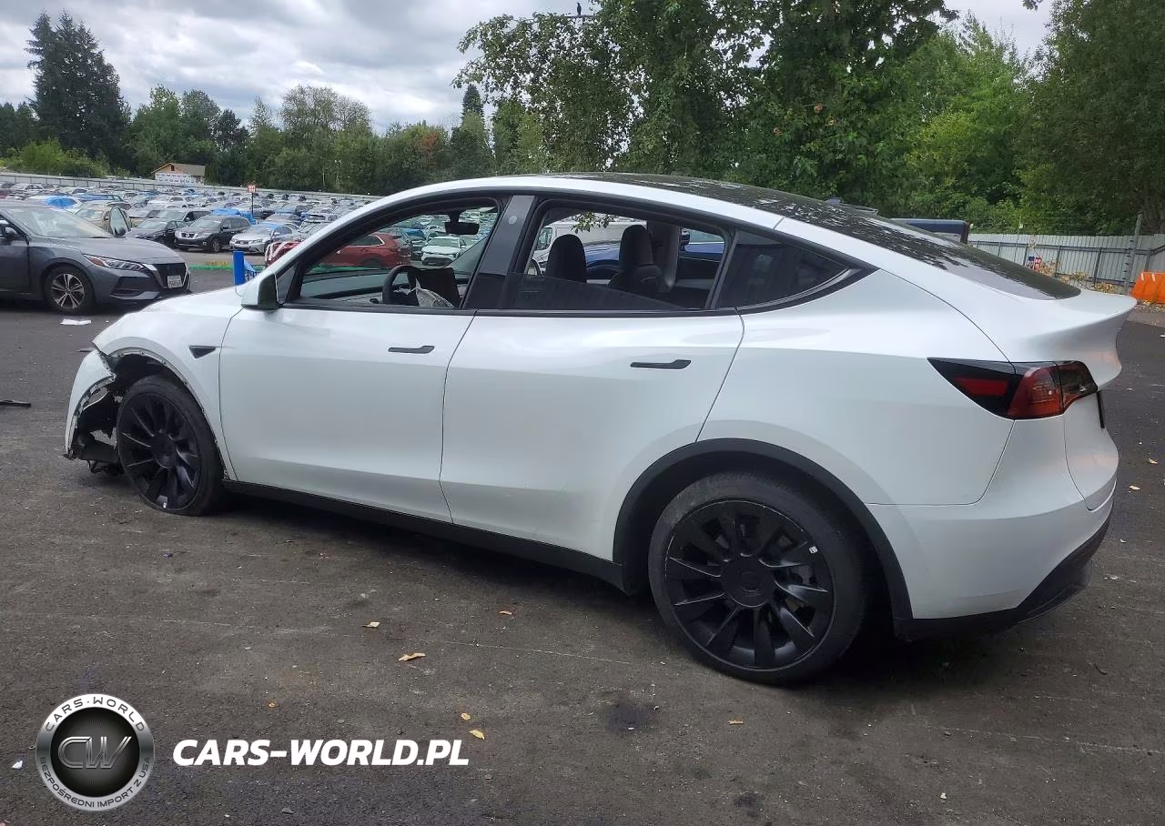 2023 Tesla Model Y VIN:7SAYGDEEXPF685715 - 2