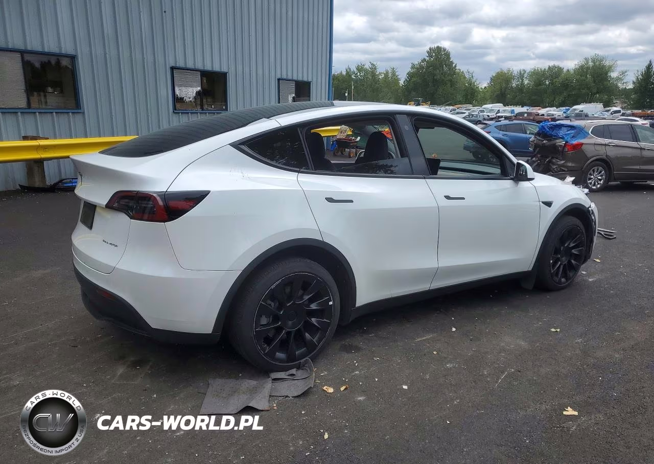 2023 Tesla Model Y VIN:7SAYGDEEXPF685715 - 3