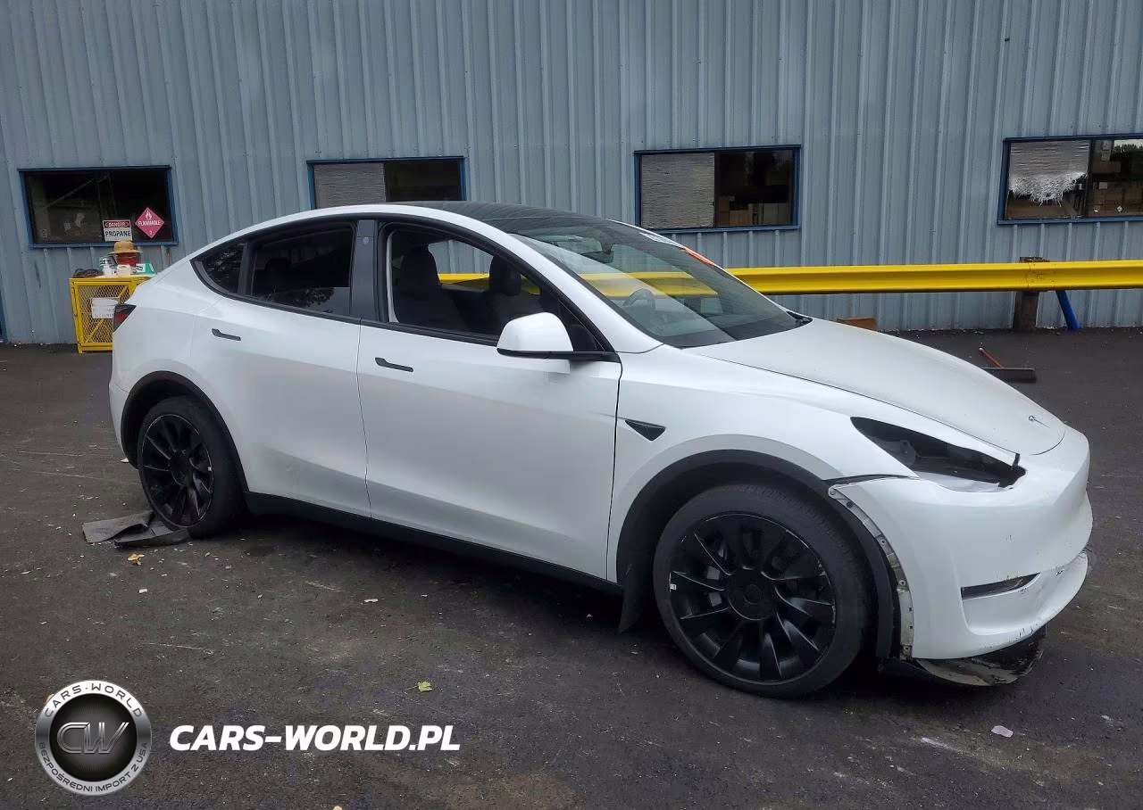 2023 Tesla Model Y VIN:7SAYGDEEXPF685715 - 4