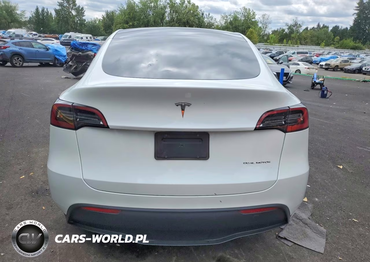 2023 Tesla Model Y VIN:7SAYGDEEXPF685715 - 6