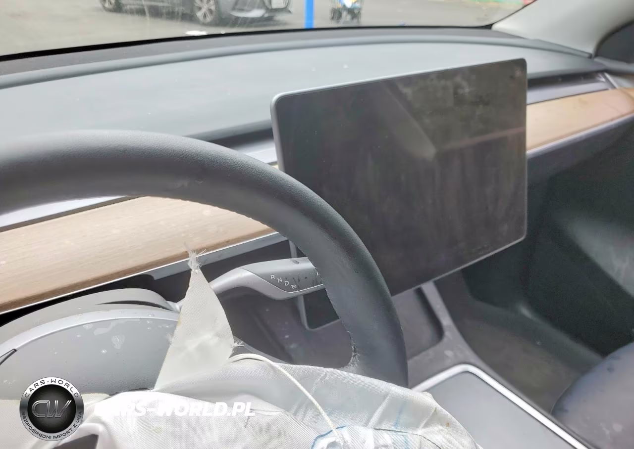 2023 Tesla Model Y VIN:7SAYGDEEXPF685715 - 9