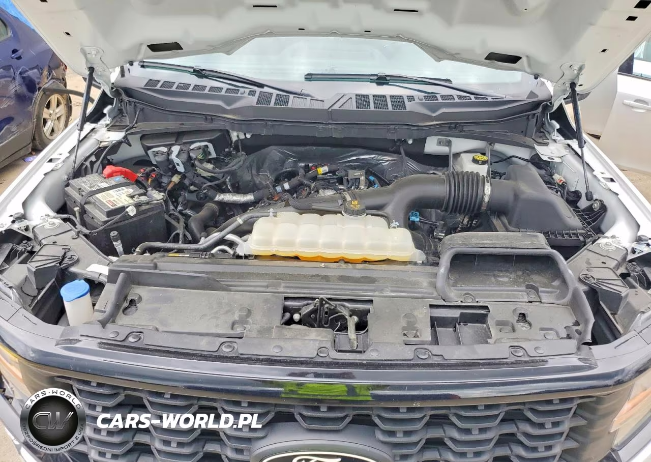 2025 Ford F150 Stx VIN:1FTEW2LP1SKD64251 - 11