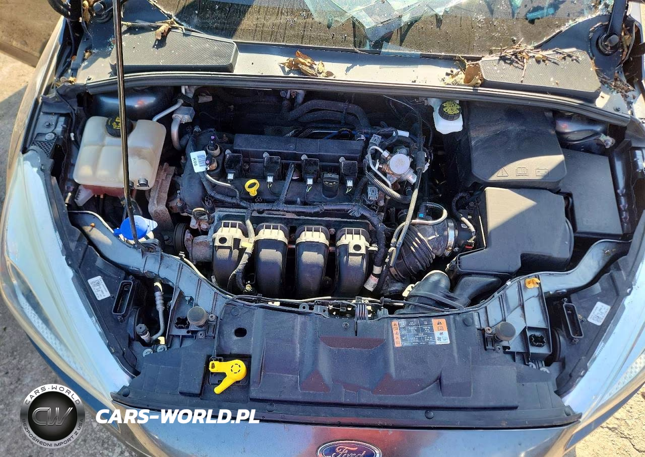 2018 Ford Focus Se VIN:1FADP3K25JL317663 - 12