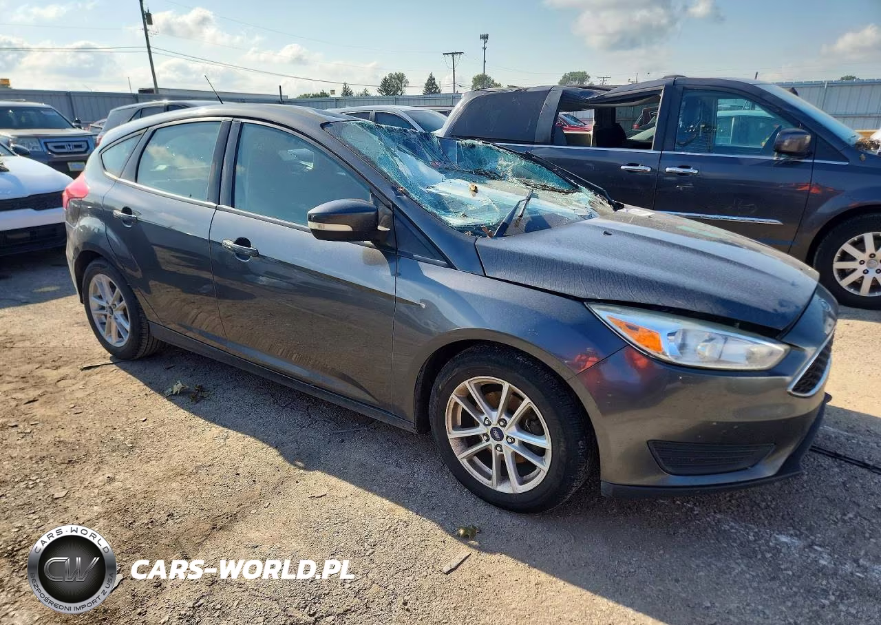 2018 Ford Focus Se VIN:1FADP3K25JL317663 - 4