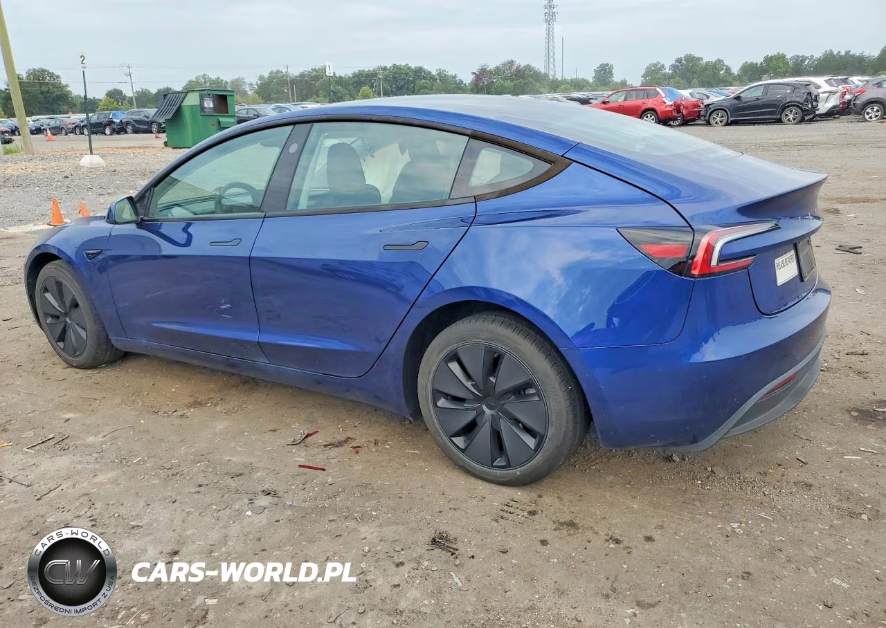 2025 Tesla Model 3 VIN:5YJ3E1EB2SF924359 - 2