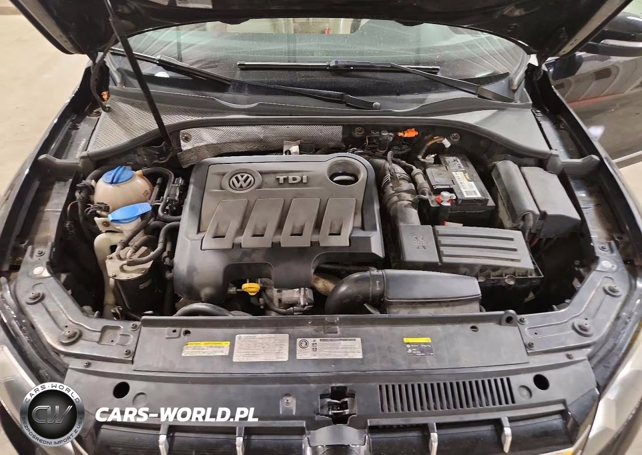 2014 Volkswagen Passat Sel VIN:1VWCN7A32EC107683 - 11
