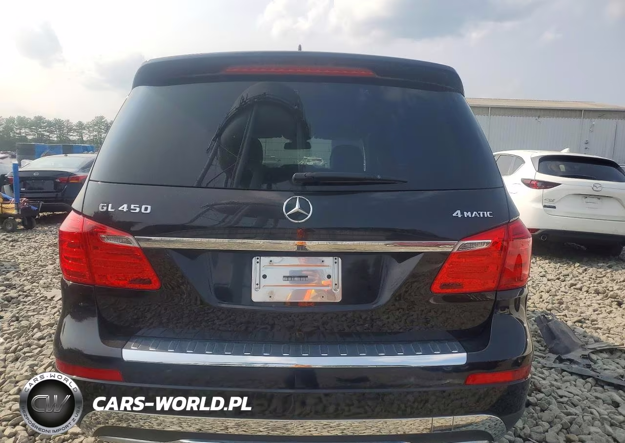 MERCEDES-BENZ GL 450 4MA VIN:4JGDF7CE3DA168632 - 6
