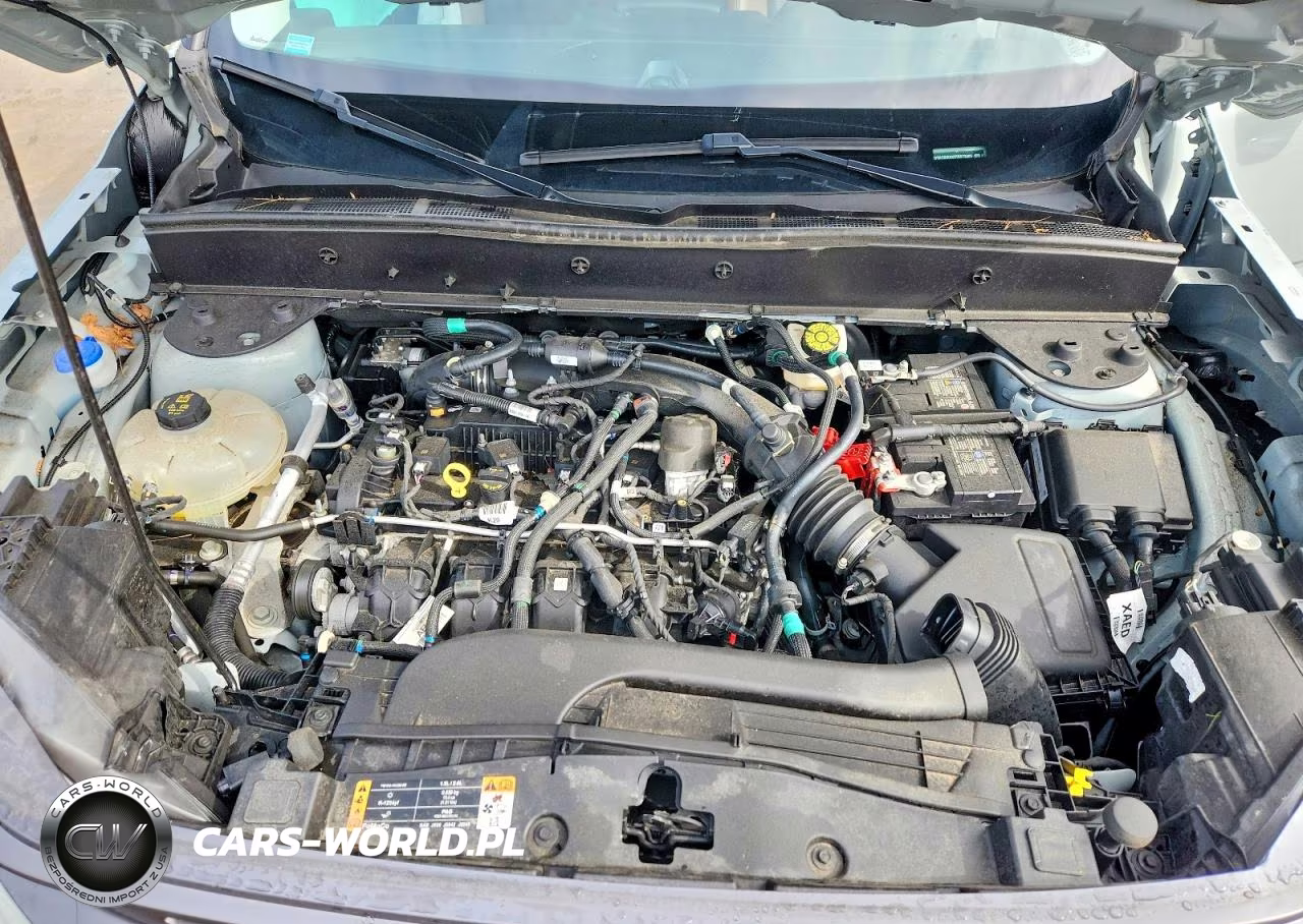 2023 Ford Bronco Sport Badlands VIN:3FMCR9D92PRD73885 - 11