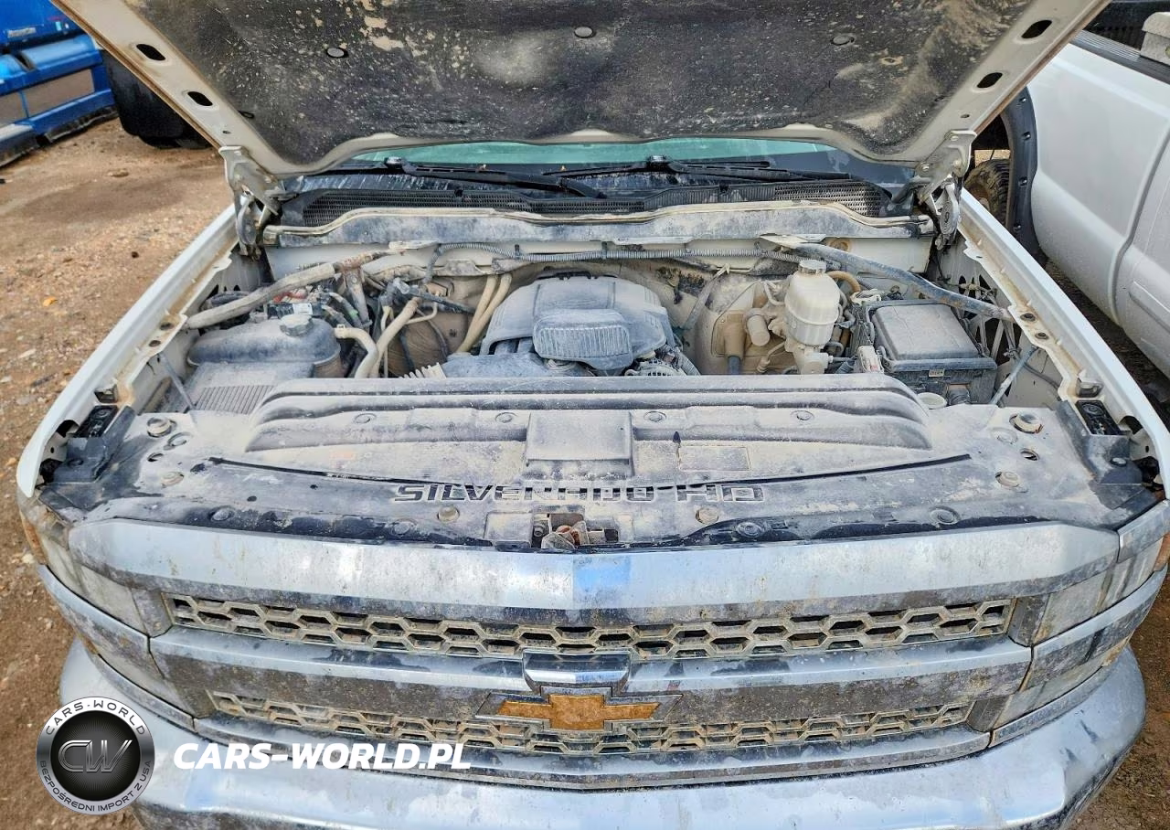 2019 Chevrolet Silverado K2500 Heavy Duty VIN:1GC1KREG6KF102685 - 11
