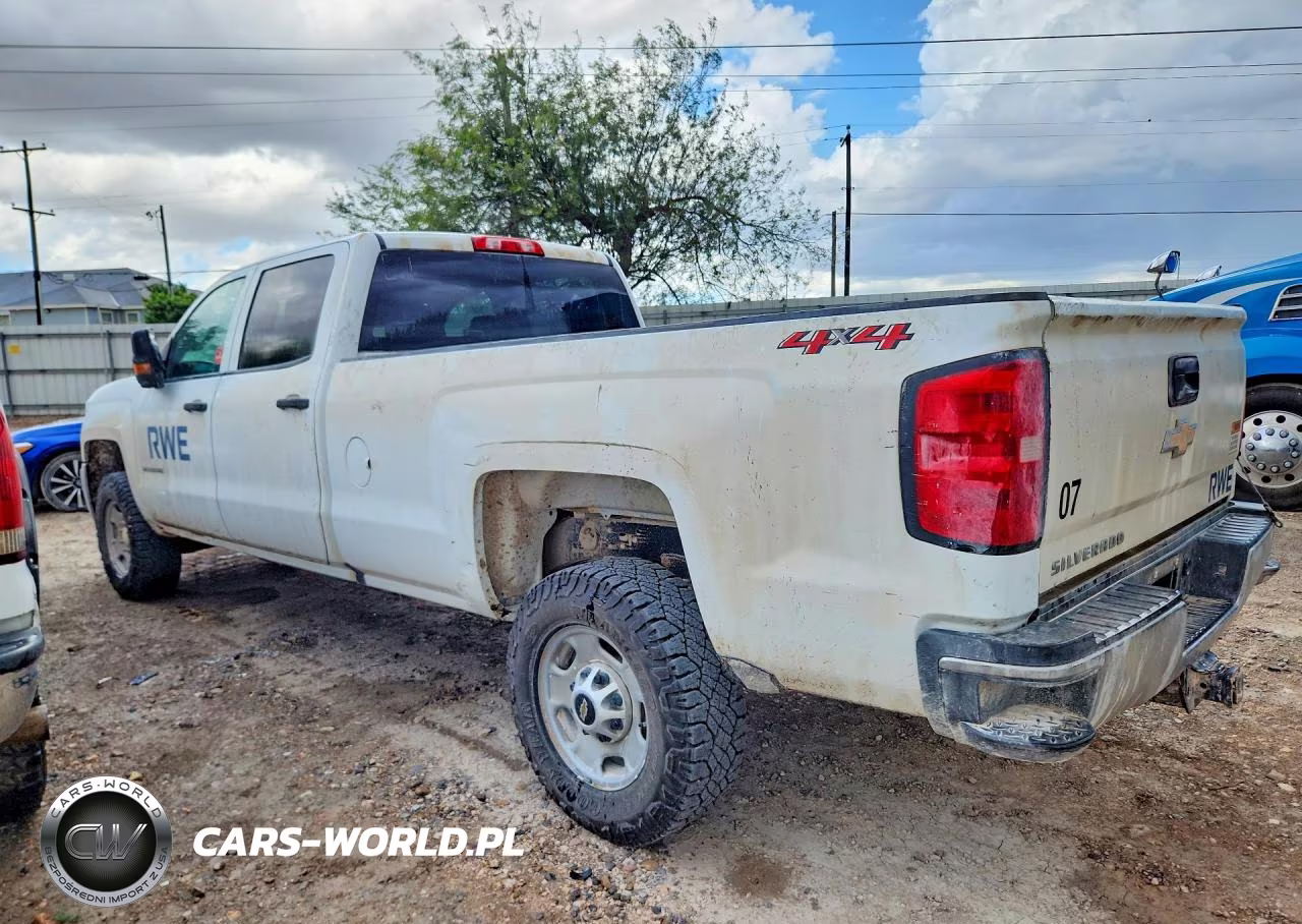 2019 Chevrolet Silverado K2500 Heavy Duty VIN:1GC1KREG6KF102685 - 2