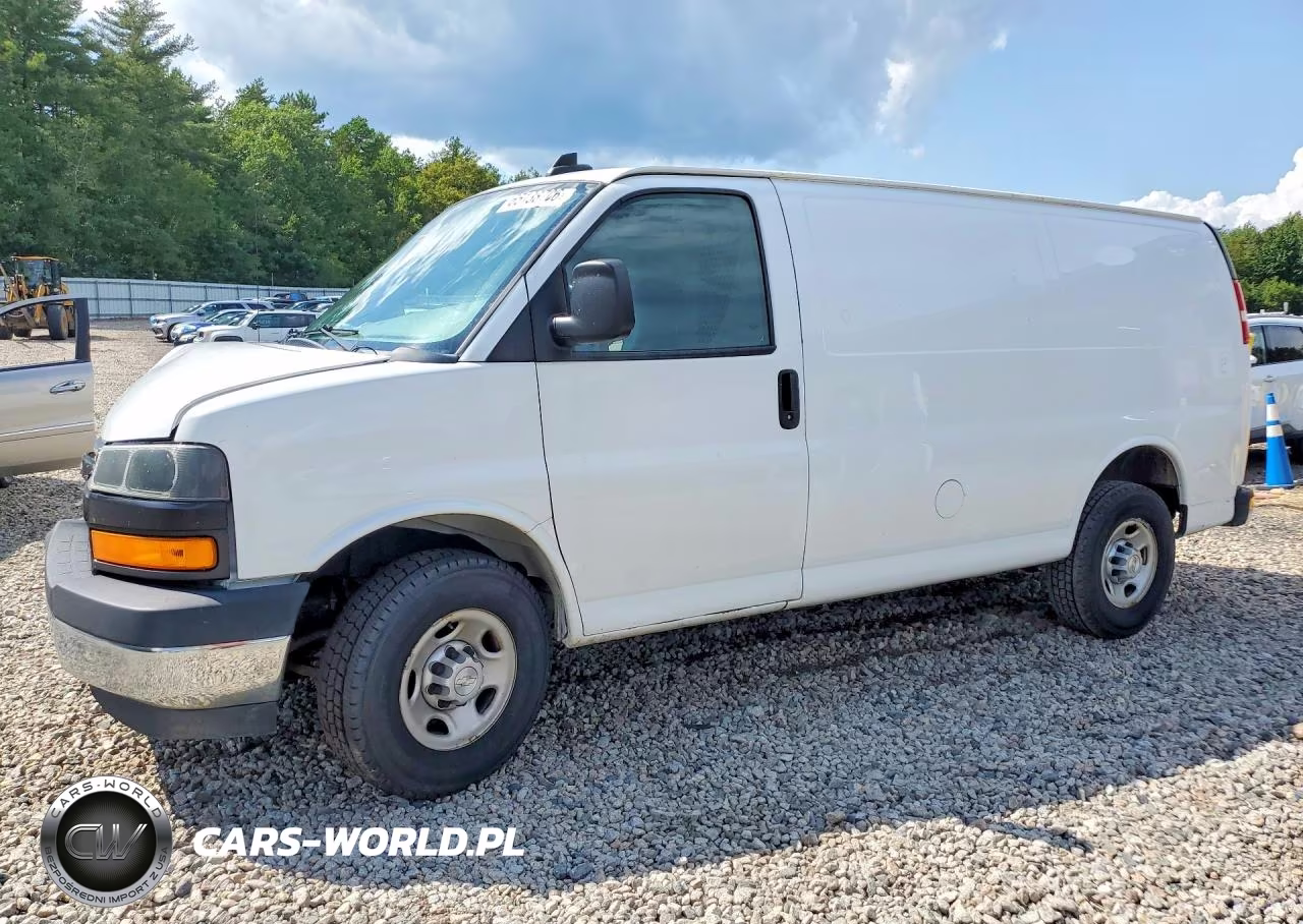2019 Chevrolet Express Delivery Van VIN:1GCWGAFP1K1294182 - 1
