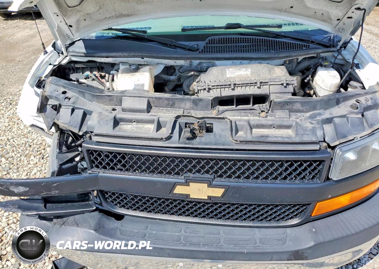 2019 Chevrolet Express Delivery Van VIN:1GCWGAFP1K1294182 - 12