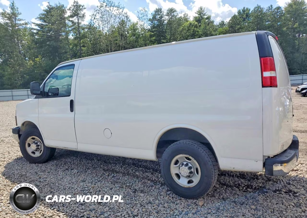 2019 Chevrolet Express Delivery Van VIN:1GCWGAFP1K1294182 - 2