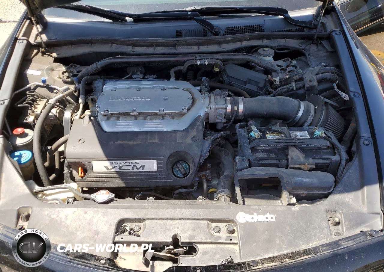 2009 Honda Accord Exl VIN:1HGCS22859A004589 - 11