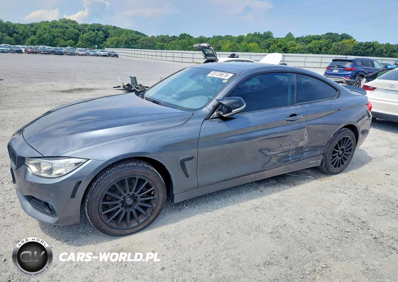 2015 BMW 428 Xi VIN:WBA3N9C57FK248198 - 1