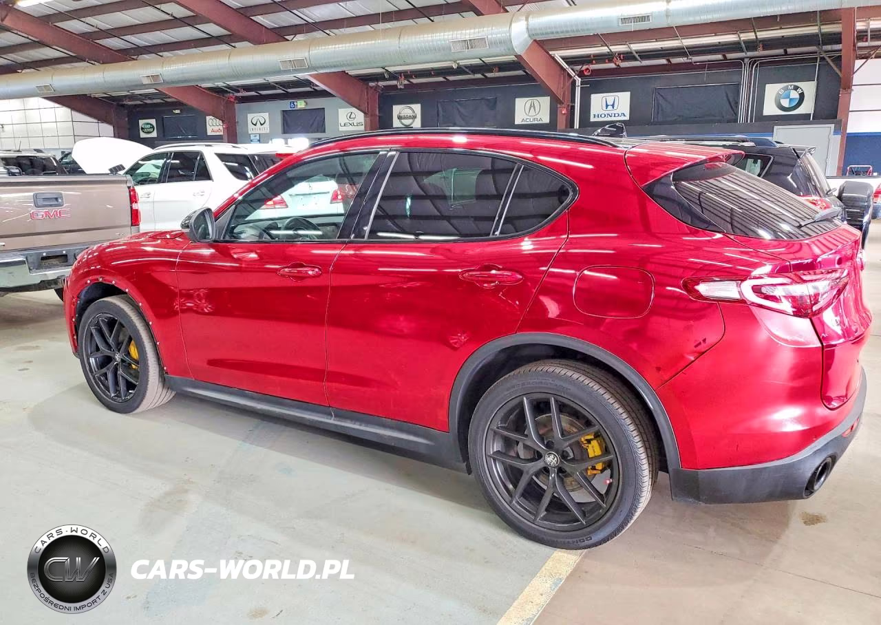 2019 Alfa Romeo Stelvio Ti VIN:ZASPAKBN7K7C53964 - 2