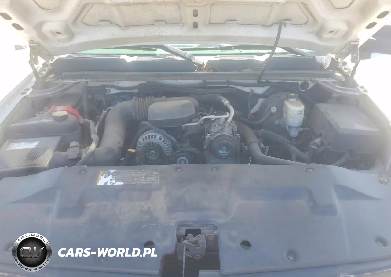 2009 Chevrolet Silverado C1500 VIN:1GCEC14X69Z122638 - 11