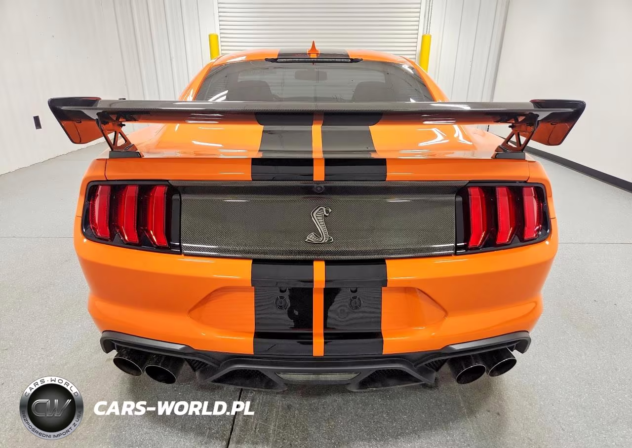 2020 Ford Mustang Shelby Gt500 VIN:1FA6P8SJ2L5500829 - 6