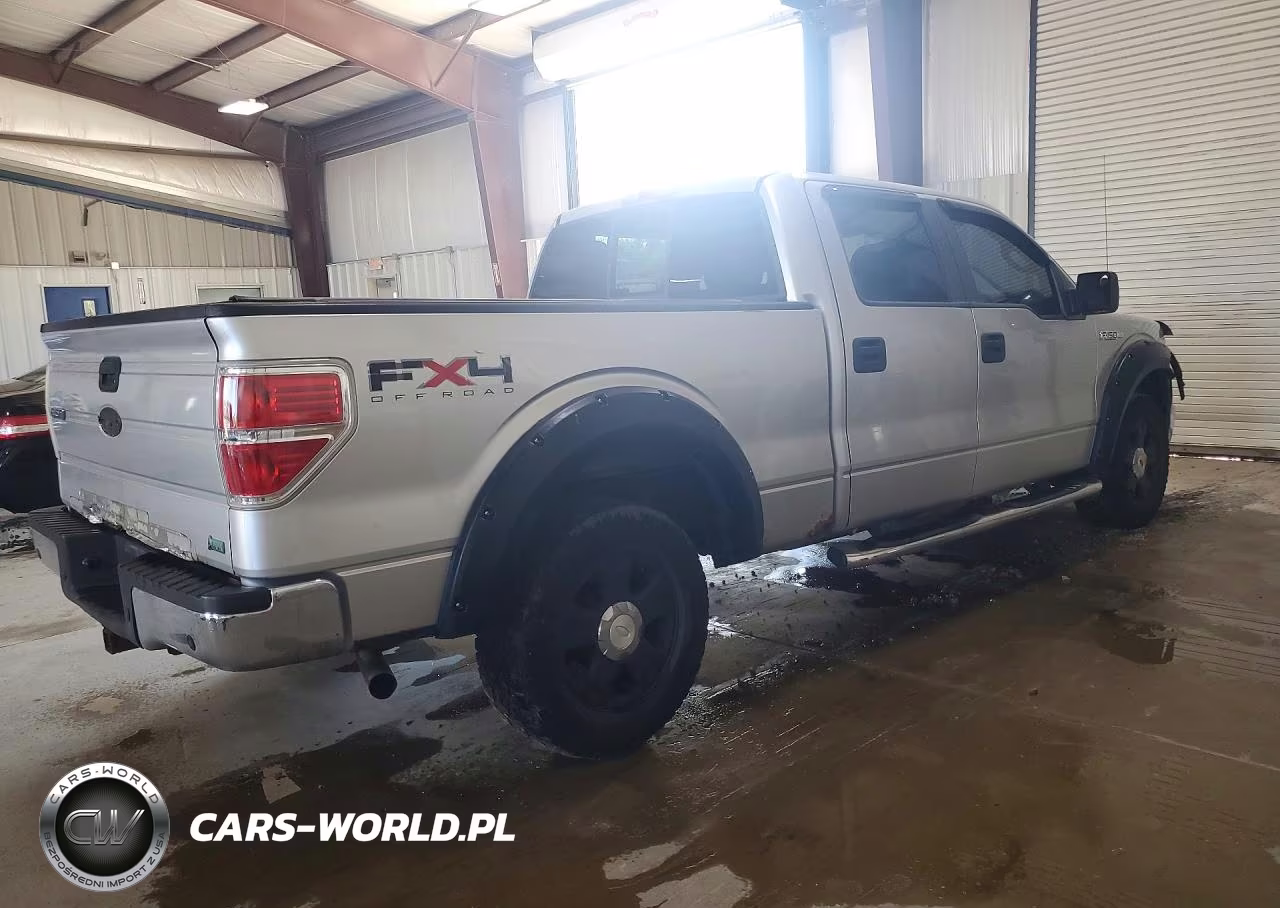 2010 Ford F150 Supercrew VIN:1FTFW1EV3AFB86893 - 3