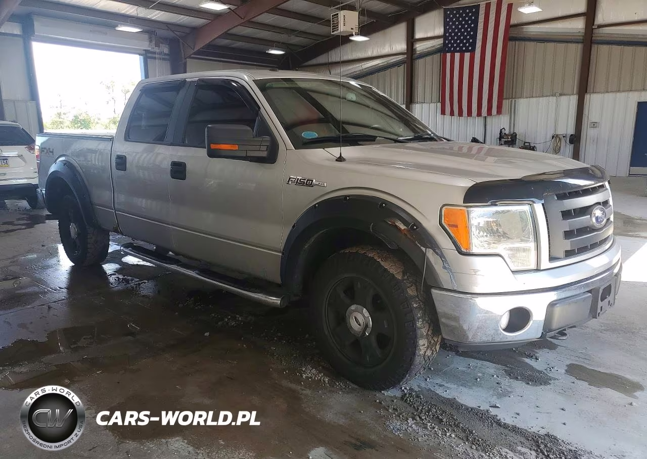 2010 Ford F150 Supercrew VIN:1FTFW1EV3AFB86893 - 4