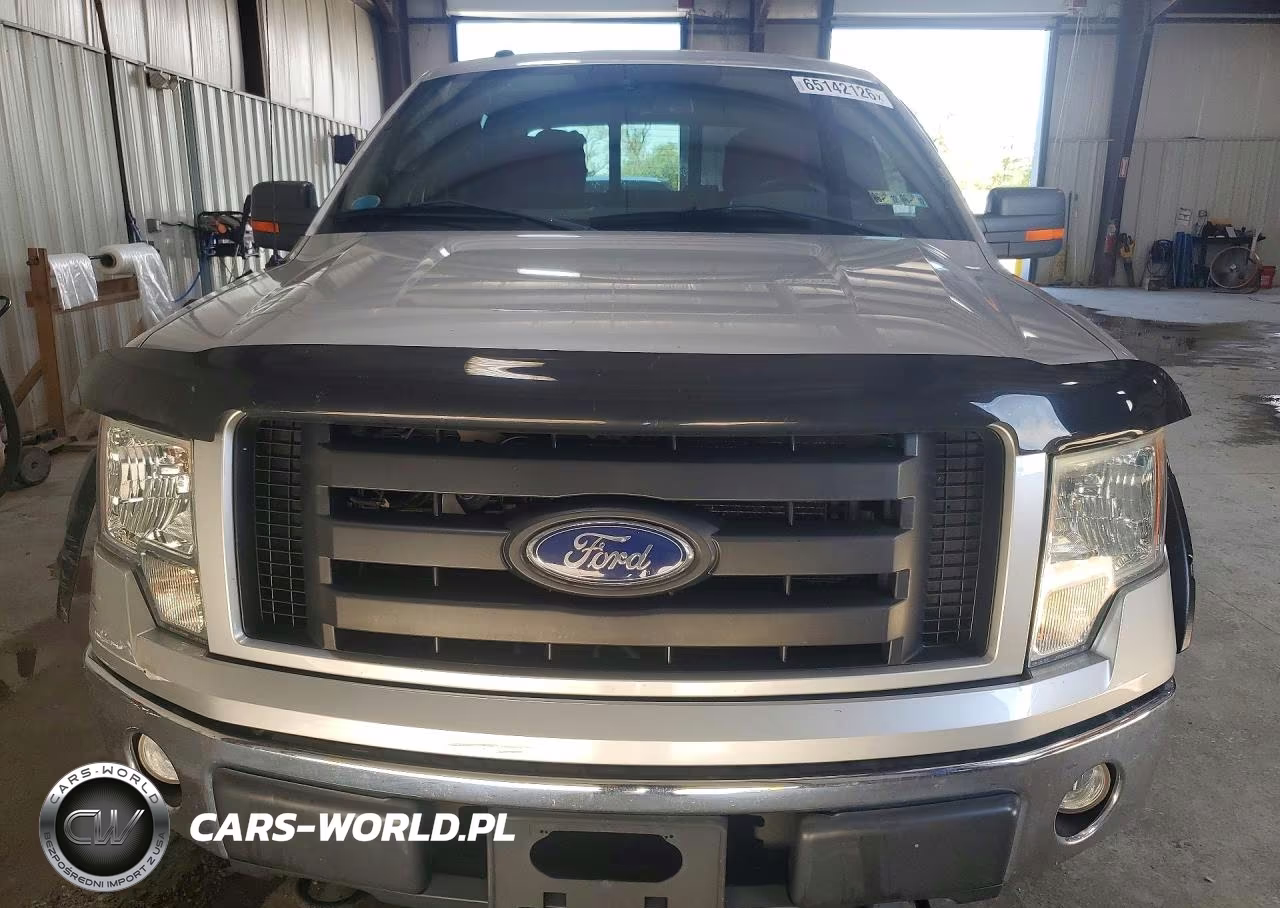 2010 Ford F150 Supercrew VIN:1FTFW1EV3AFB86893 - 5