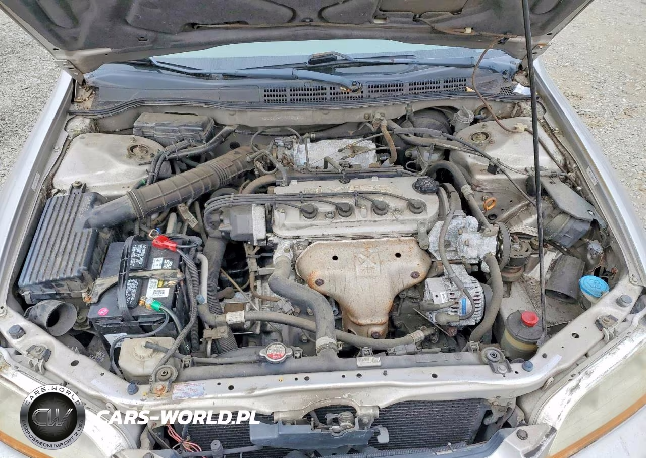 1998 Honda Accord Lx VIN:1HGCG5540WA251560 - 11
