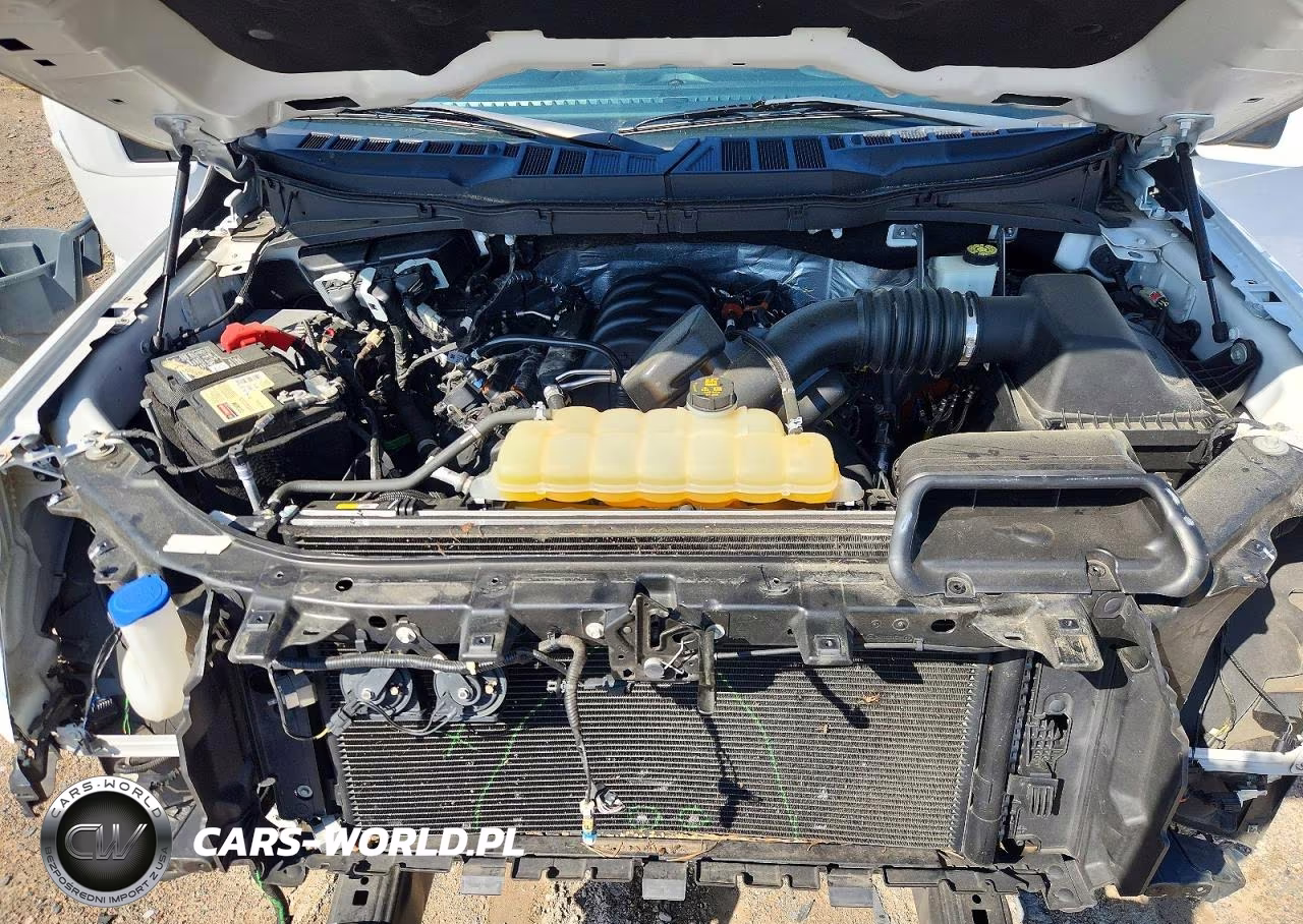 2021 Ford F150 Supercrew VIN:1FTFW1E58MKD44785 - 11