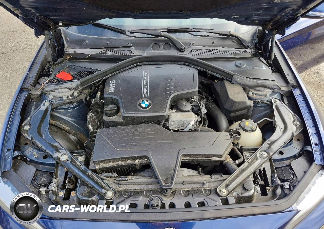 2016 BMW 228 Xi Sulev VIN:WBA1L9C50GV324793 - 11