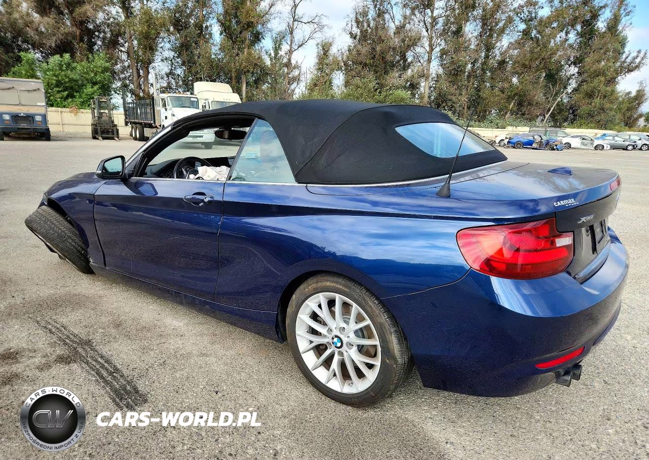 2016 BMW 228 Xi Sulev VIN:WBA1L9C50GV324793 - 2