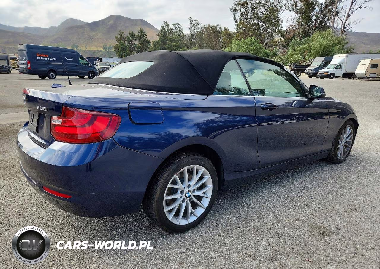 2016 BMW 228 Xi Sulev VIN:WBA1L9C50GV324793 - 3