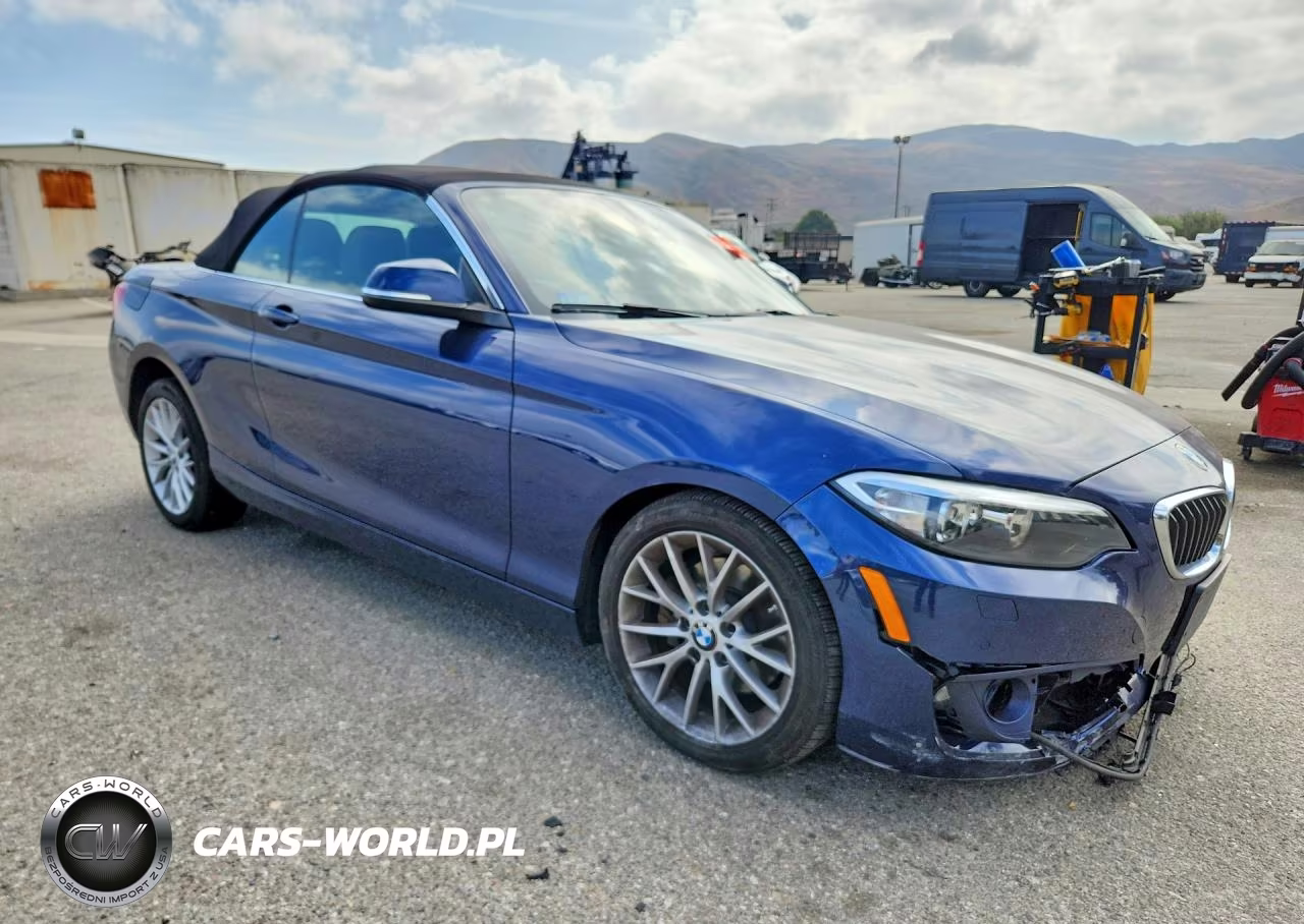 2016 BMW 228 Xi Sulev VIN:WBA1L9C50GV324793 - 4