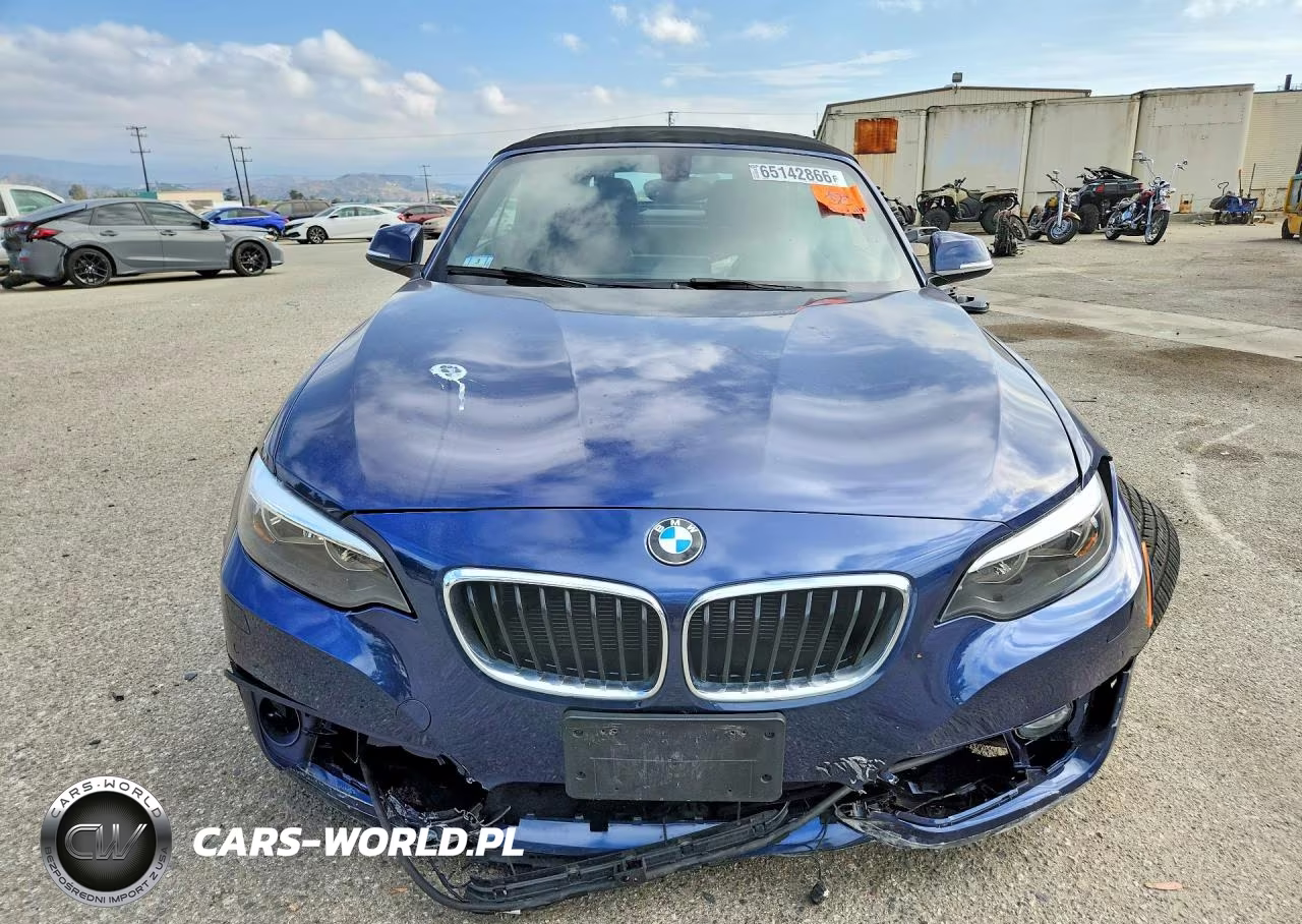 2016 BMW 228 Xi Sulev VIN:WBA1L9C50GV324793 - 5