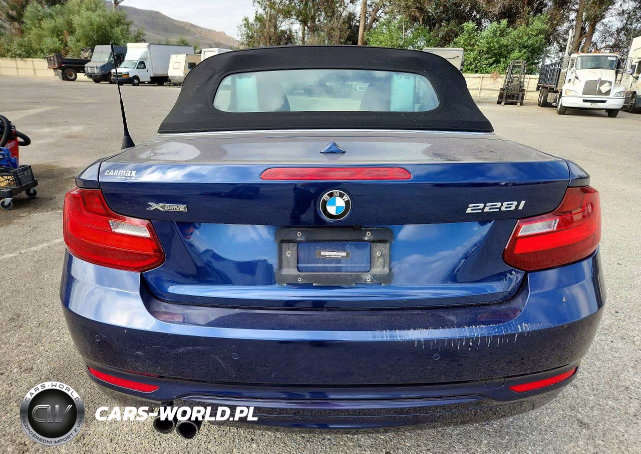 2016 BMW 228 Xi Sulev VIN:WBA1L9C50GV324793 - 6