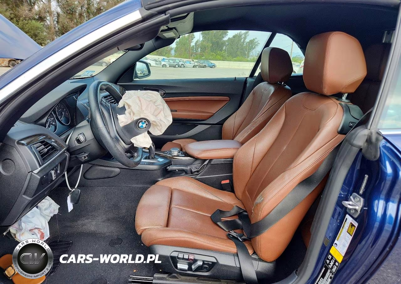 2016 BMW 228 Xi Sulev VIN:WBA1L9C50GV324793 - 7