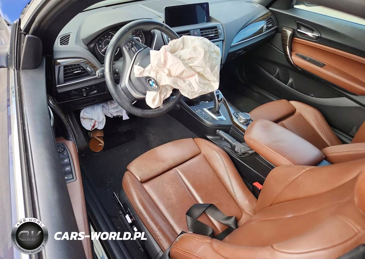 2016 BMW 228 Xi Sulev VIN:WBA1L9C50GV324793 - 8
