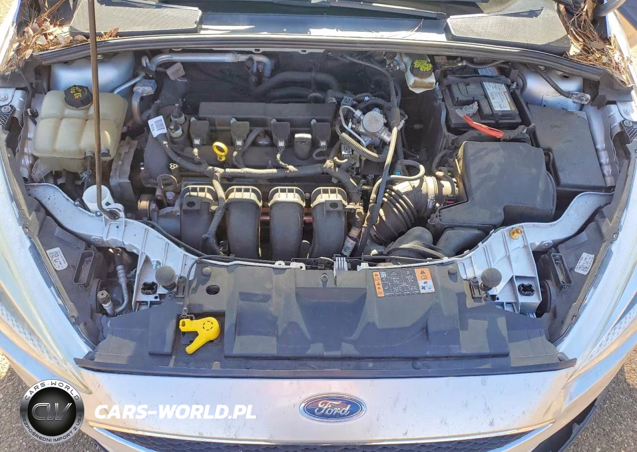 2018 Ford Focus Se VIN:1FADP3F24JL317017 - 11