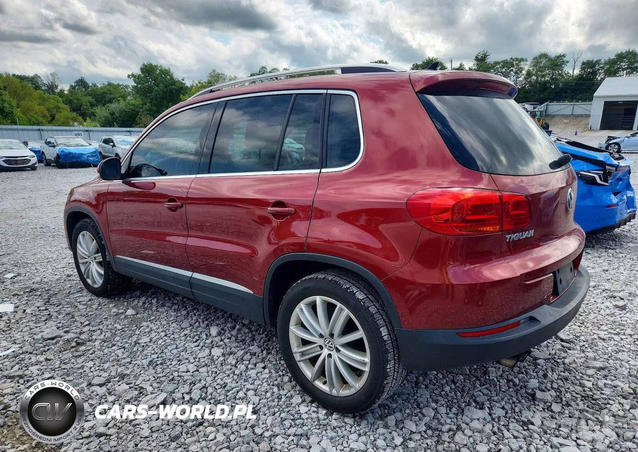2015 Volkswagen Tiguan S VIN:WVGBV7AX9FW109203 - 2