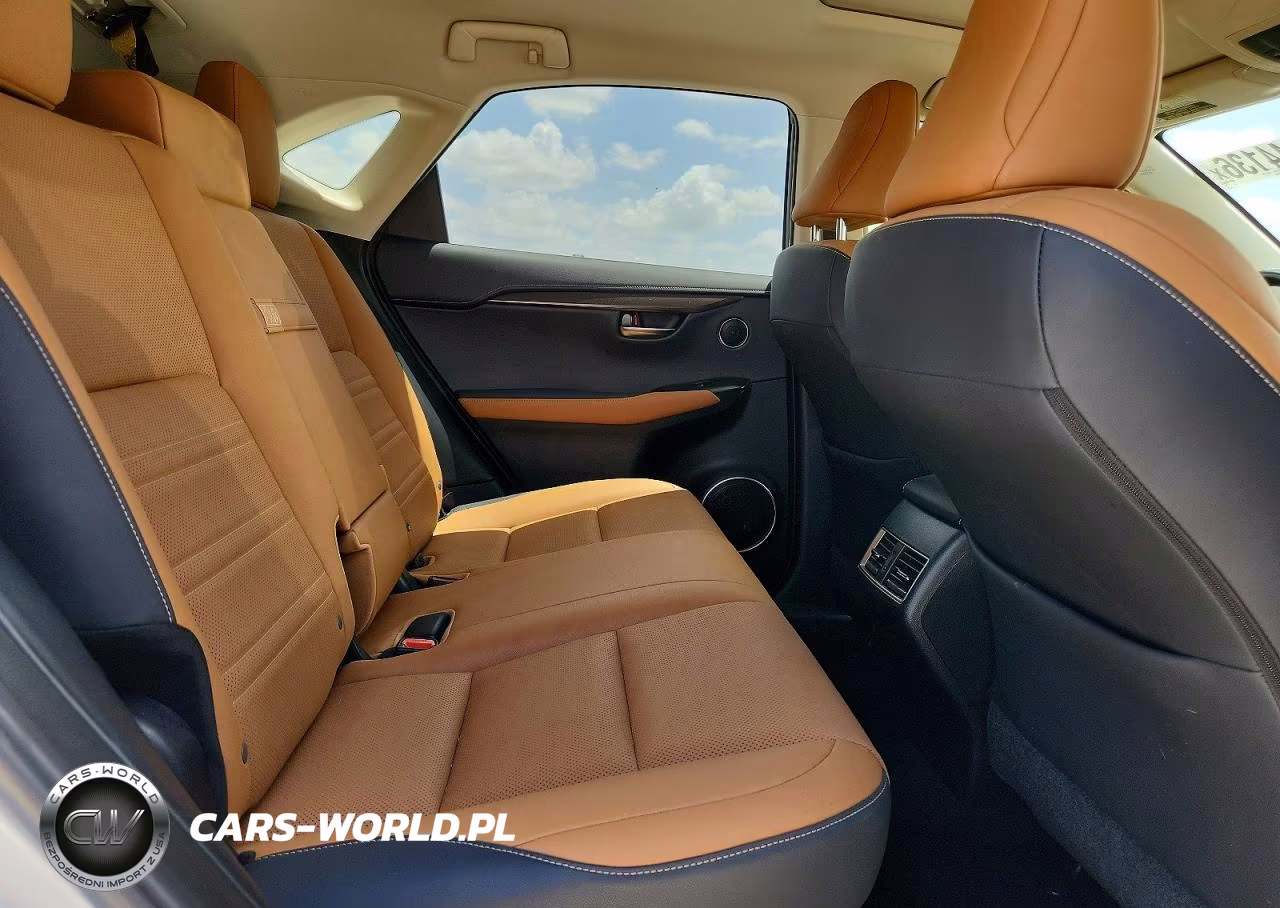 2020 Lexus Nx 300 VIN:JTJGARBZ8L2160533 - 11