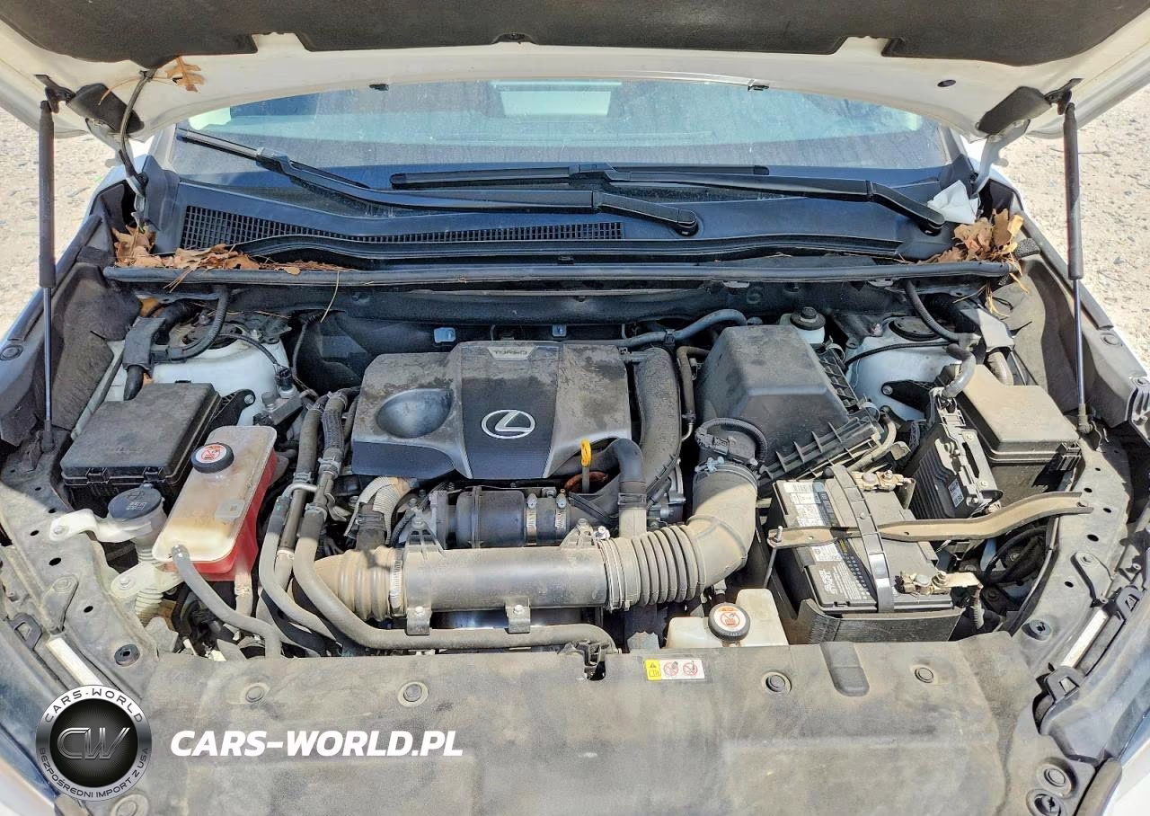 2020 Lexus Nx 300 VIN:JTJGARBZ8L2160533 - 12
